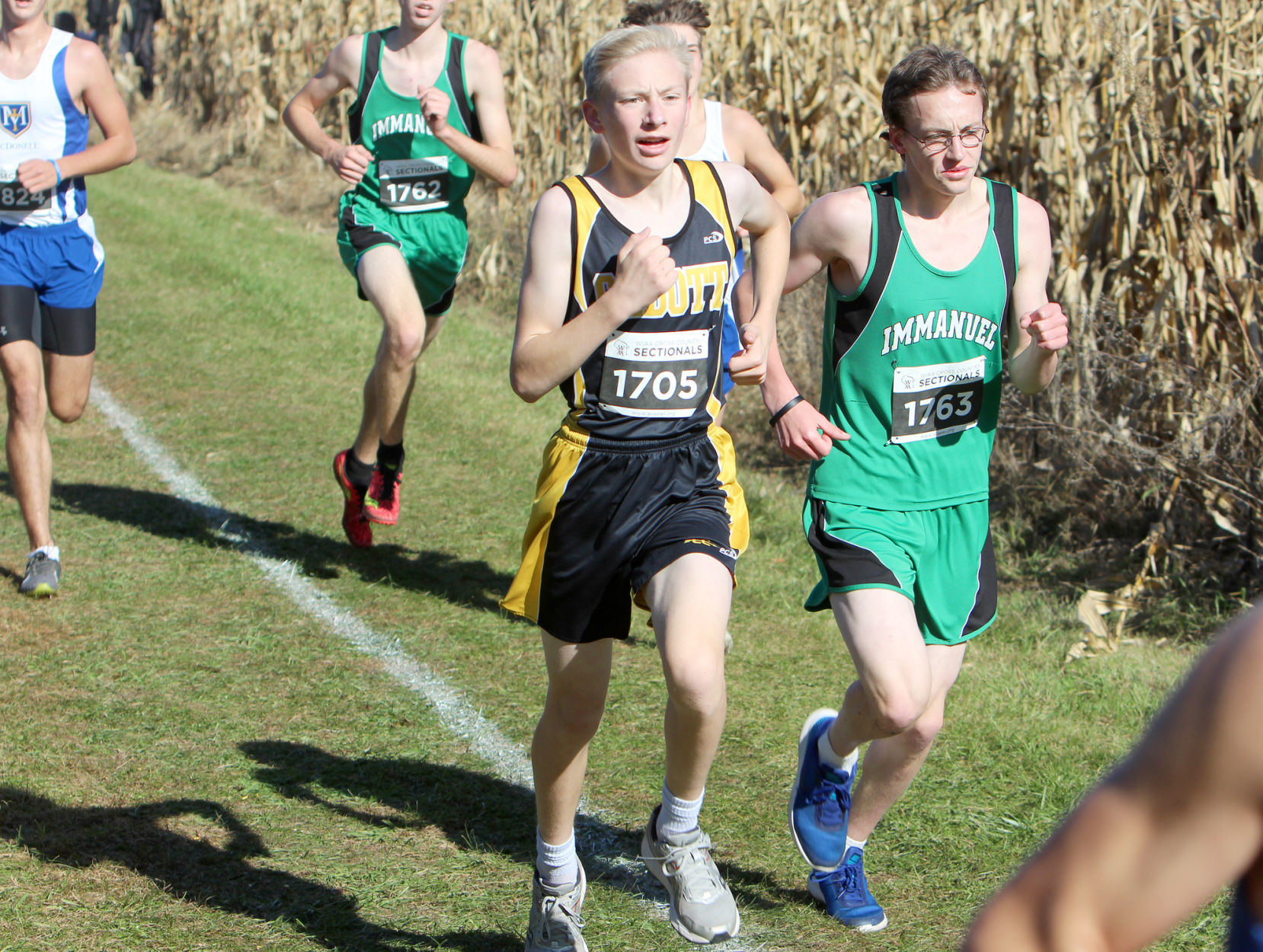 Division 3 Cross Country Sectionals in Boyceville 10-26-19